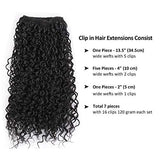 Fashion Icon Hair 22'' Synthetic Clip in on Hair Extensions, Double Weft Kinky Jerry Curly/Wavy Full Head False Hairpieces for Women 120G 7Pcs/Lot-Natural Black 1B Color : Beauty