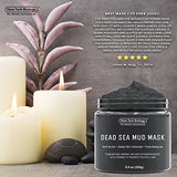 New York Biology Dead Sea Mud Mask for Face and Body - Natural Spa Quality Pore Reducer for Acne, Blackheads and Oily Skin - Tightens Skin for A Healthier Complexion - 8.8 oz : Beauty